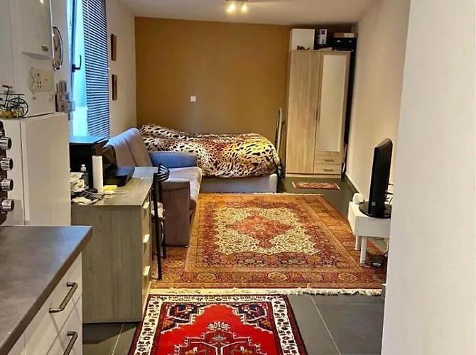 Small Apartment & Near To The City Downtown